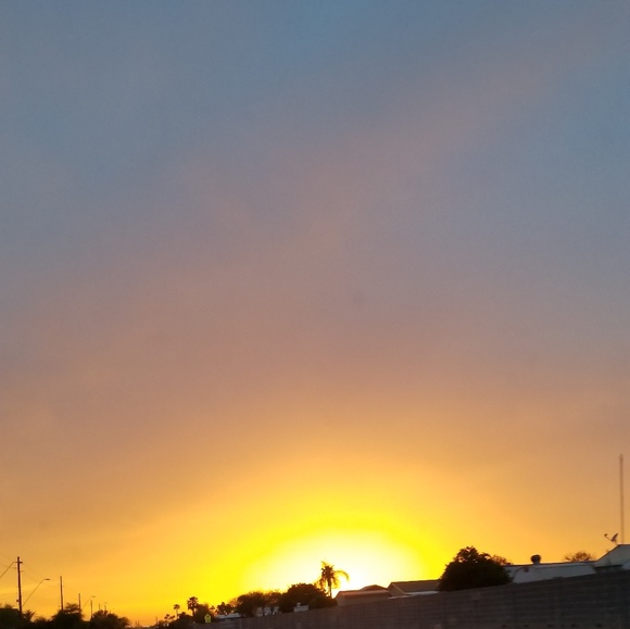 Meet your Posher, Cupcake - Picture 4 of 5